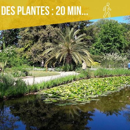 Amja Proche Clinique Saint-Roch Apt 3 Chambres 3 Salles De Bain Parking Gratuit Ideal Famille Groupe Coworking 10 Min Centre Ville 10 Min Plage 5 Min Sortie Autoroute Μονπελιέ Εξωτερικό φωτογραφία