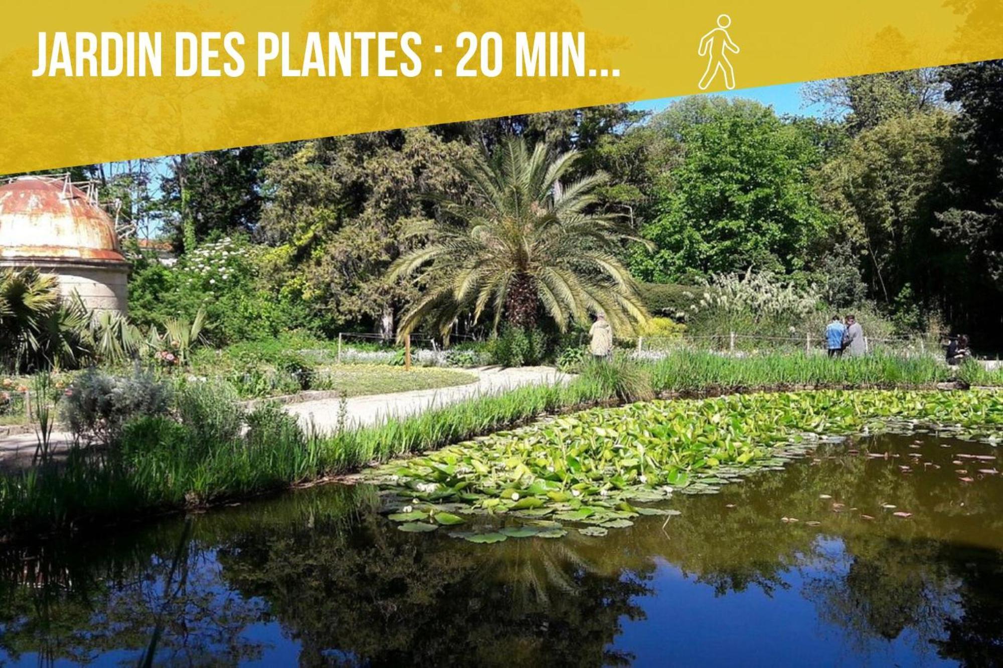 Amja Proche Clinique Saint-Roch Apt 3 Chambres 3 Salles De Bain Parking Gratuit Ideal Famille Groupe Coworking 10 Min Centre Ville 10 Min Plage 5 Min Sortie Autoroute Μονπελιέ Εξωτερικό φωτογραφία