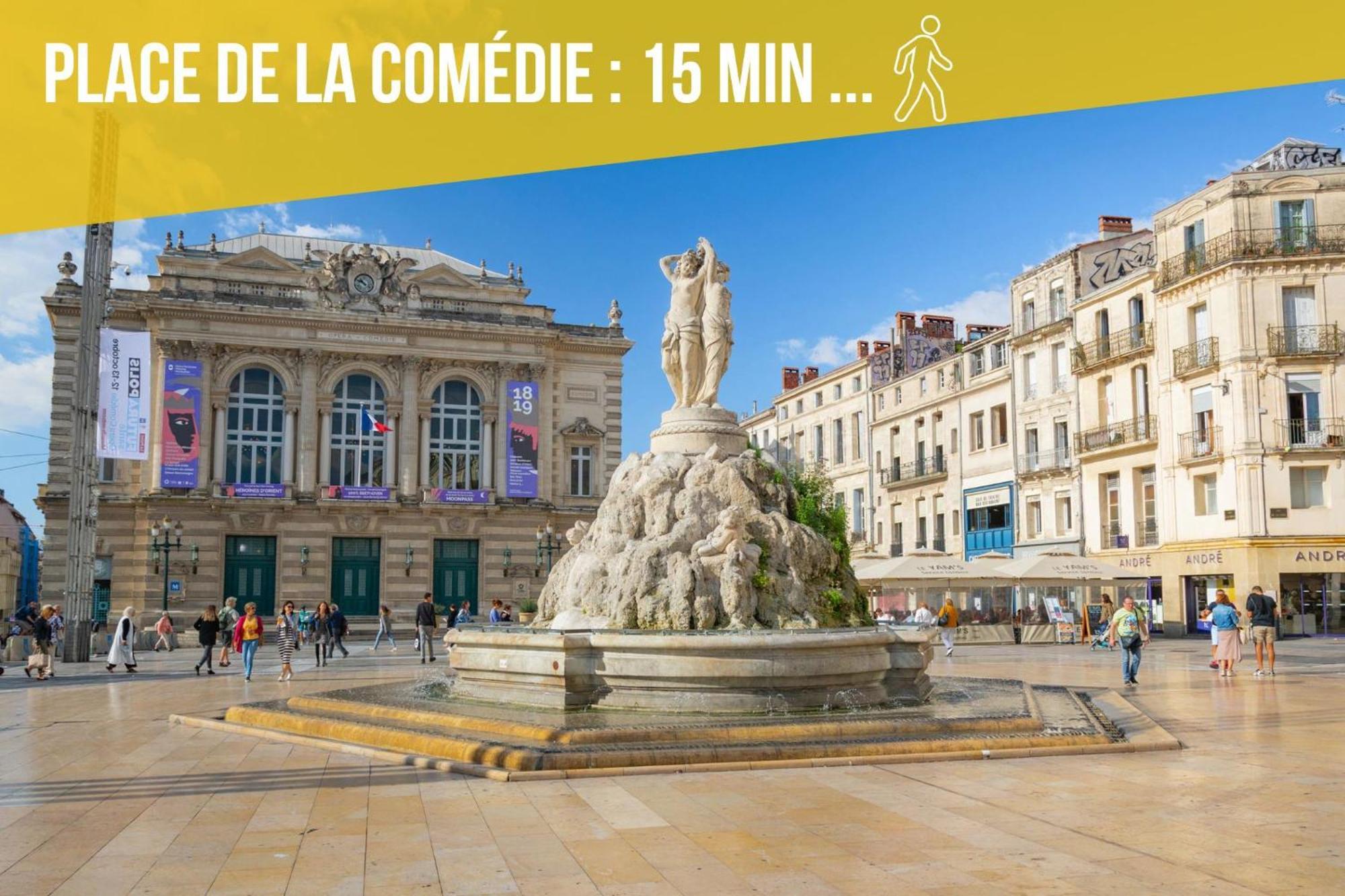 Amja Proche Clinique Saint-Roch Apt 3 Chambres 3 Salles De Bain Parking Gratuit Ideal Famille Groupe Coworking 10 Min Centre Ville 10 Min Plage 5 Min Sortie Autoroute Μονπελιέ Εξωτερικό φωτογραφία